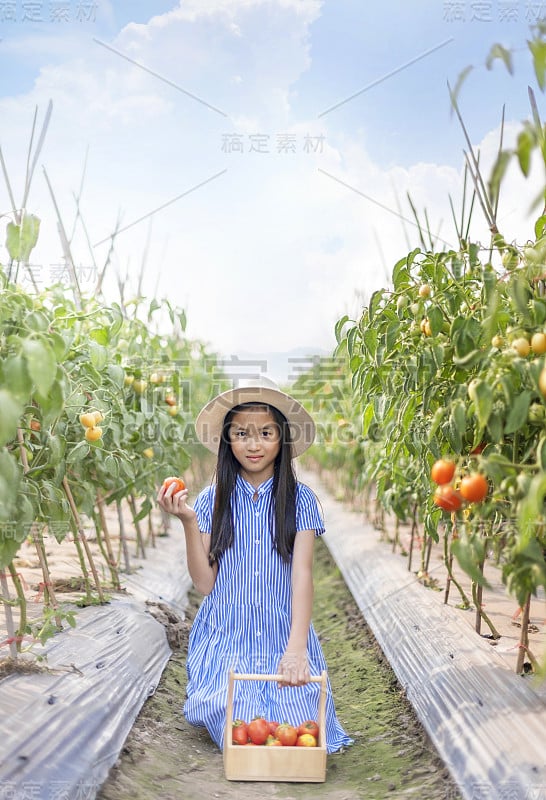 亚洲可爱的小女孩和红色的西红柿