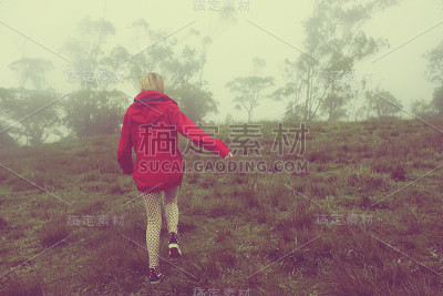 女孩和树在雾中晨曦的风景