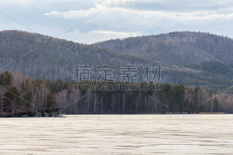 春天的大自然。江河湖泊上的冰正在融化。西伯利亚的晴天。有选择性的重点