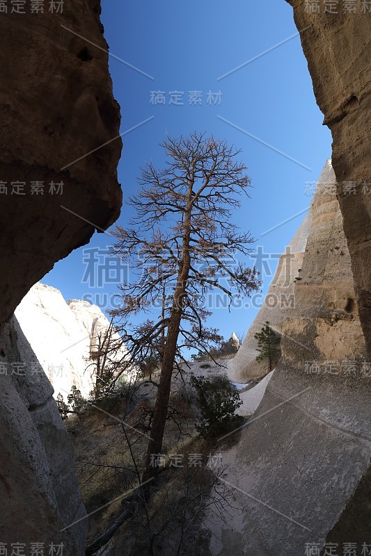 新墨西哥州卡沙-卡图维帐篷岩石国家纪念碑