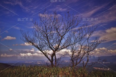 台北,东北海岸