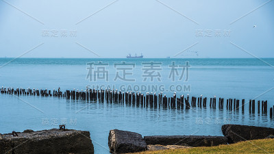 格鲁吉亚波蒂，黑海防波堤上的海鸥