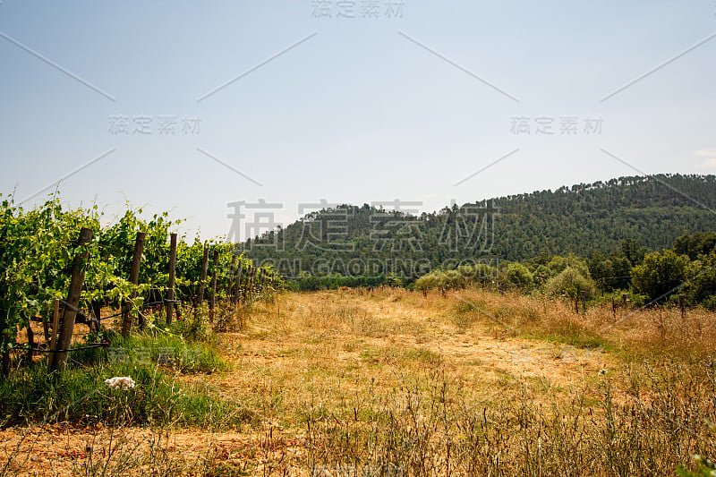 风景照片来自圣加尔根