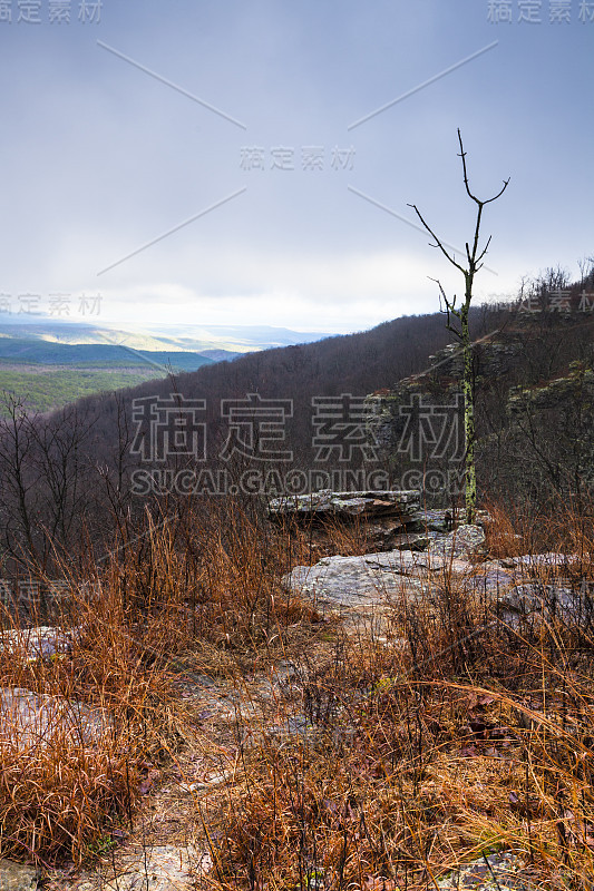 大烟山，美国，全景