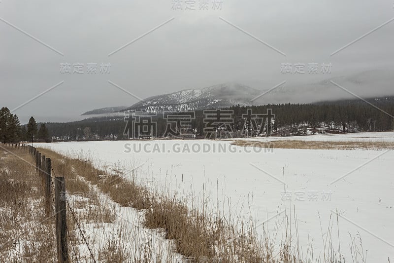 阴天里，茂密的森林和开阔的牧场后面的山被雾和雪覆盖着