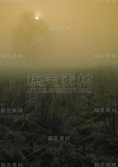 日出