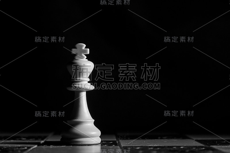 棋盘上的象棋