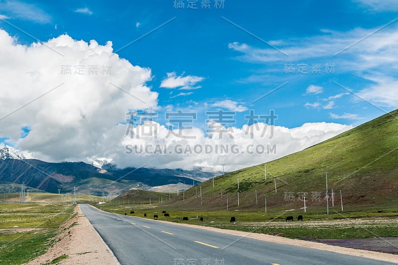 碧蓝多云的天空下有草原的沥青公路