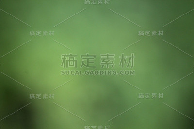 模糊自然树叶背景