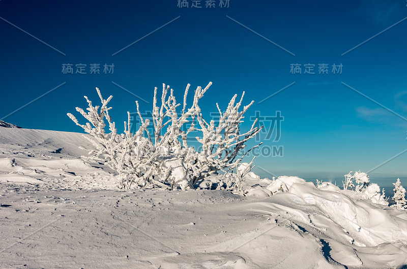 冬季山地雪景