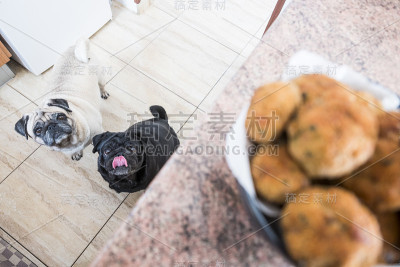 波尔佩特帕格