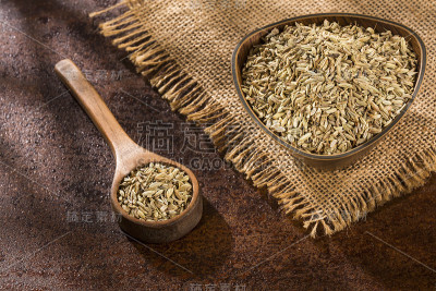 干燥的有机茴香种子-小茴香