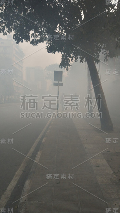 多雾的