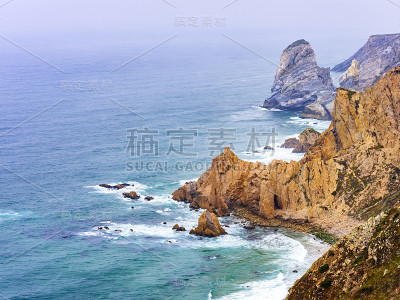 葡萄牙万寿菊2000