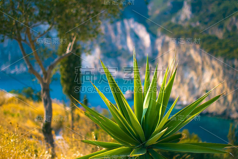 美丽的海湾景色海景