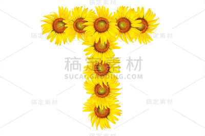 字母从向日葵