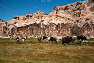 南美洲玻利维亚阿塔卡马地区美丽的风景