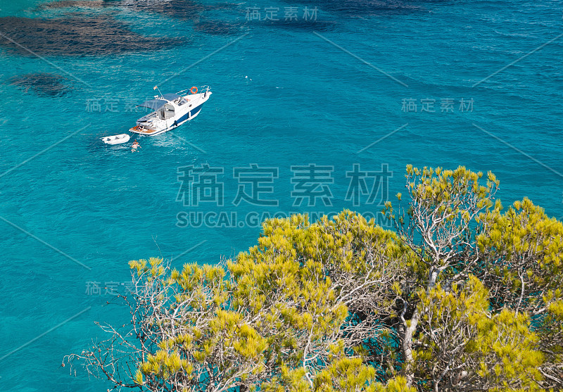 游艇，大海和松树