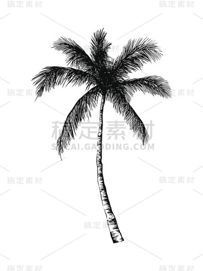 矢量手绘制手掌。