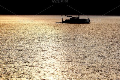 湾的游艇
