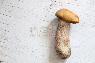 桌上有野蘑菇