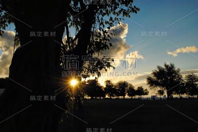 一缕缕美丽的晚霞从树叶间流过