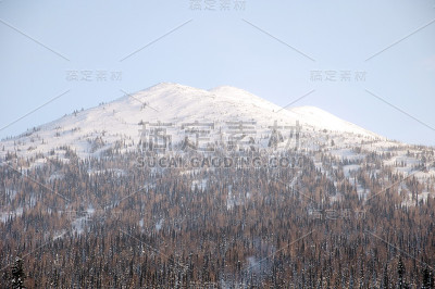 山坡上覆盖着白雪和森林。徒步登山。