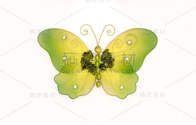 蝴蝶，绿色面料