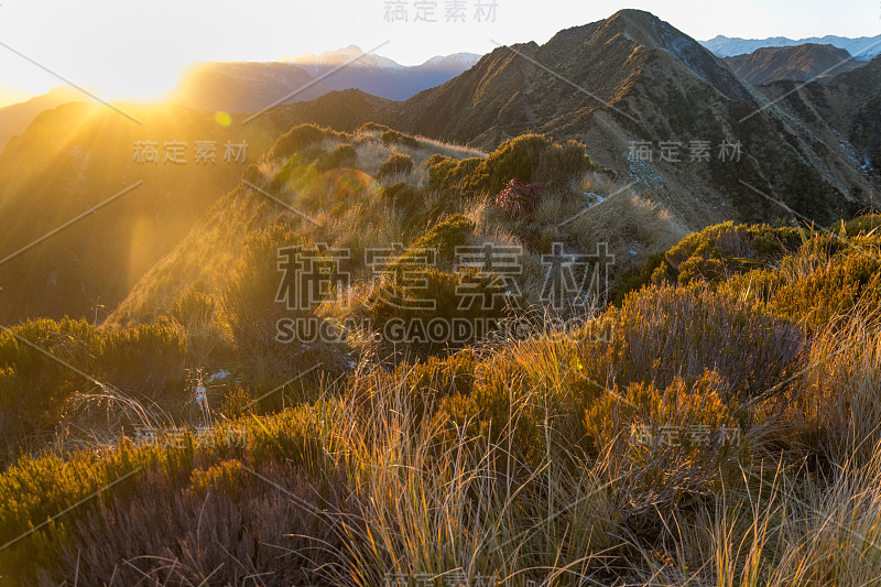 早上南阿尔卑斯山，霍基提卡，新西兰