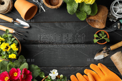 花和园艺工具上的木制背景，文字空间
