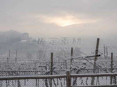 特伦蒂诺罗韦托的雪