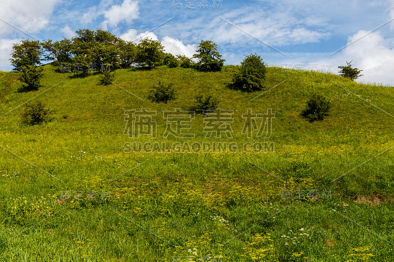 塔尔斯湖附近有小灌木的绿草山