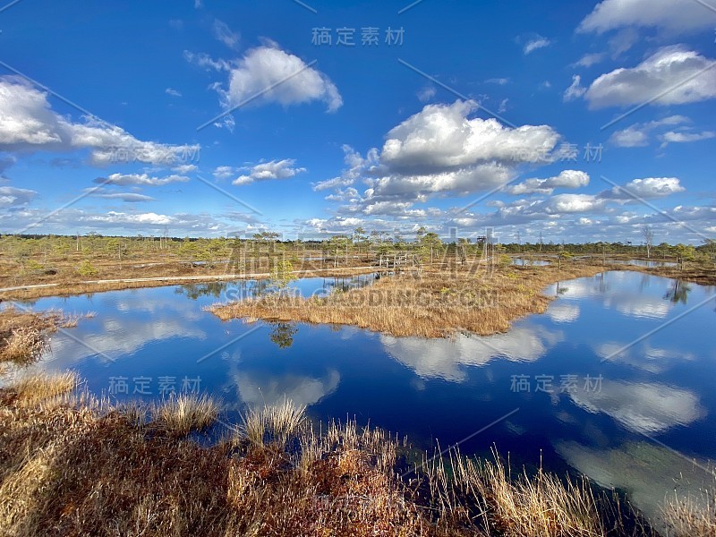 沼泽秋天国家公园克梅里拉脱维亚风景