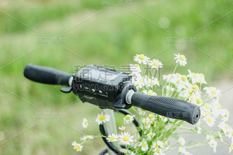 电动滑板车的菊花花。清洁电动汽车概念