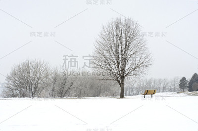 霜