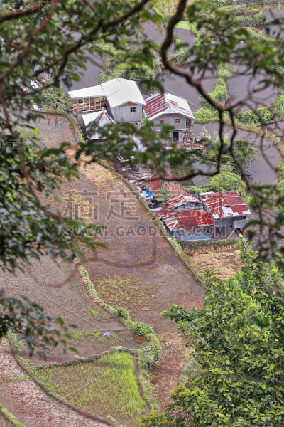 Batad村-从小屋地区看大米梯田。Banaue-Ifugao-Luzon-Phlippines。0
