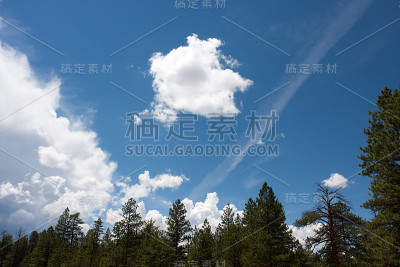 杰克云