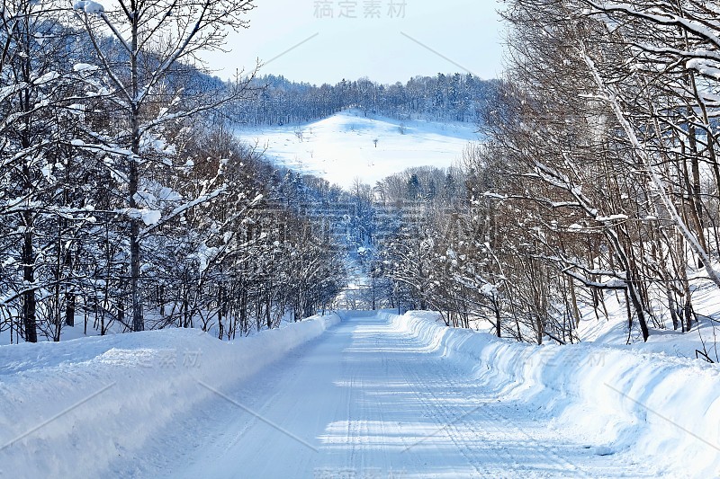 雪的大道