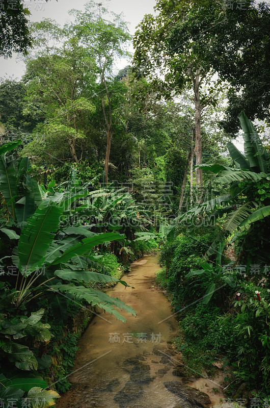 槟城植物园