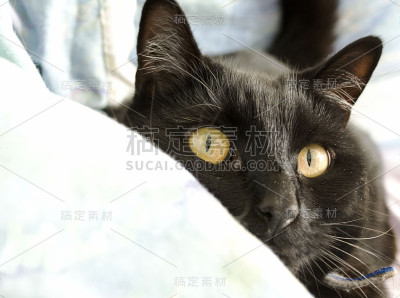捉迷藏
