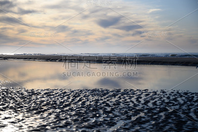 荷兰景观，在荷兰Castricum aan Zee附近的北海沙滩，退潮时