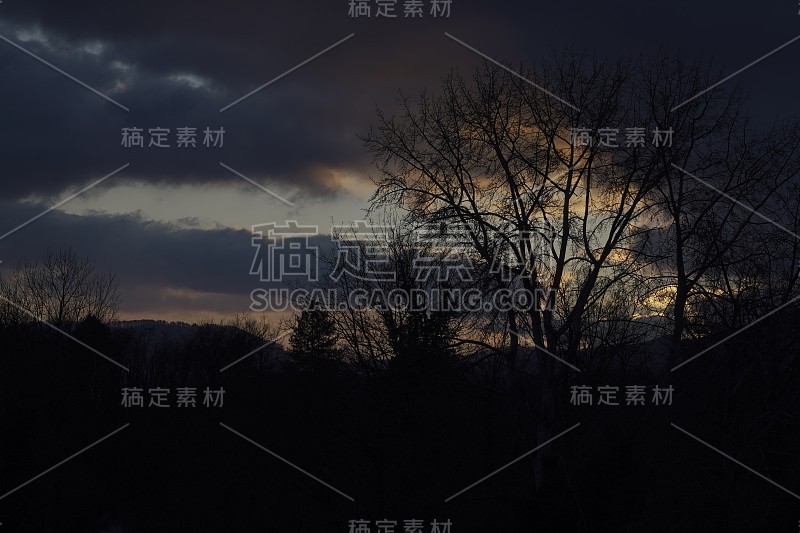 戏剧性的日落与树的剪影在布拉格，瑞士。