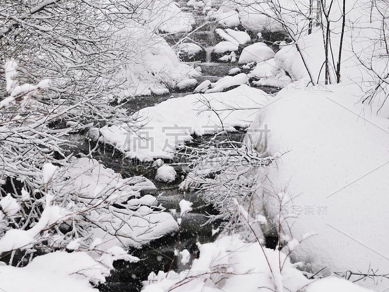 法国夏蒙尼，勃朗山，高山，滑雪，滑雪板，旅游，旅游，度假，美丽的雪冬天