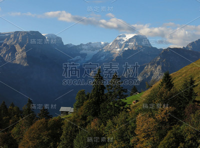 从Braunwald