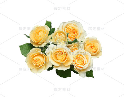 束玫瑰