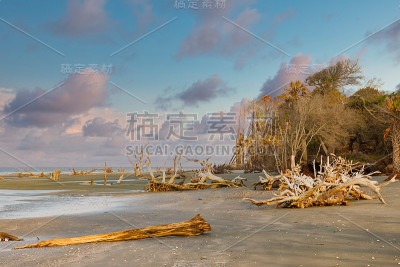 黄昏时空旷海滩上的浮木