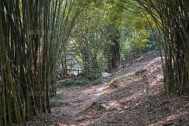 泰国考考高原美丽的自然景观。