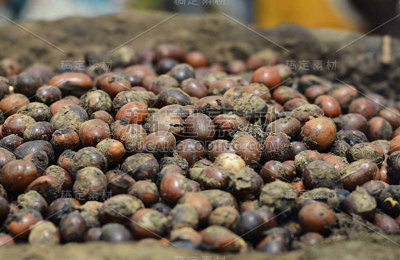 用于制作黄油的乳木果(Karité)巴马科，马里