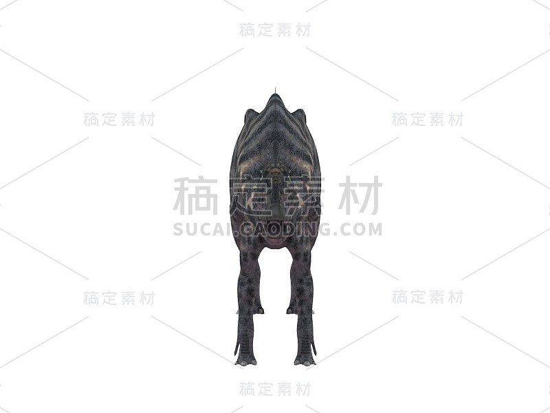 一个白色舞台内的恐龙的3d渲染