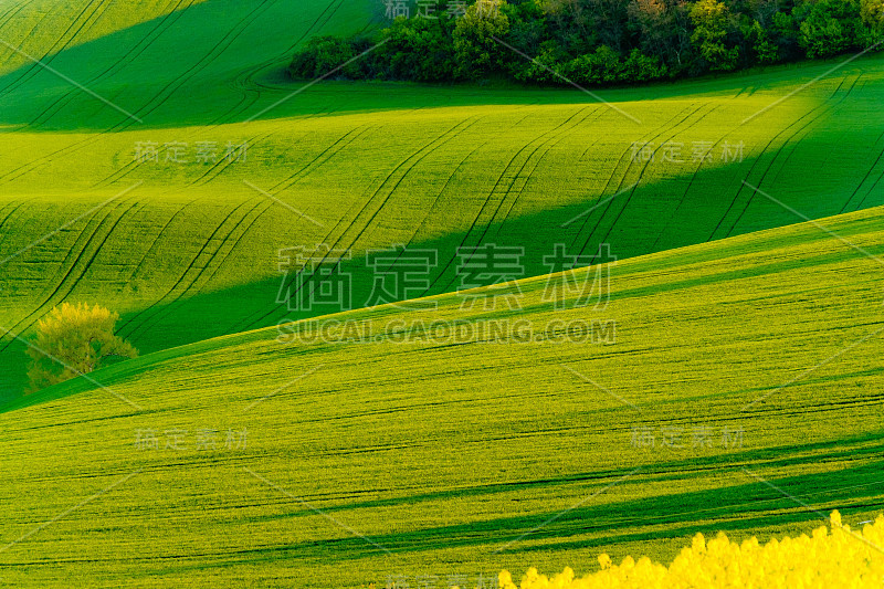 南摩拉维亚的绿色波浪山